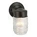 Design House 502195 Jelly Jar 1 Light Indoor/Outdoor Wall Light, Black primary
