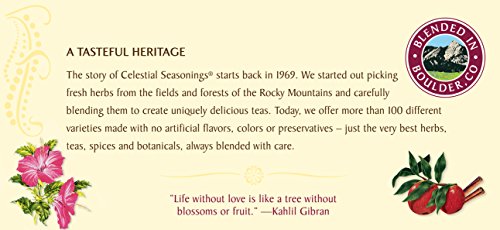 Celestial-Seasonings-Herbal-Tea-Cranberry-Apple-Zinger-20-Count