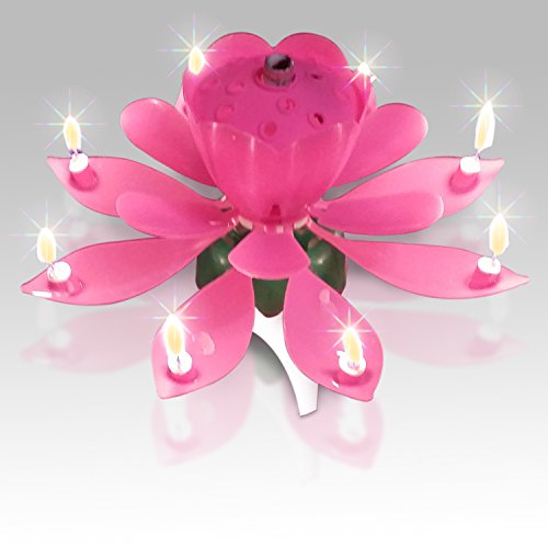 Singing Happy Birthday Candle For Children or Adult Birthday Parties. Add To any Birthday Theme, Party Decorations, or Party Supplies - Bakers Hero TM (Pink)