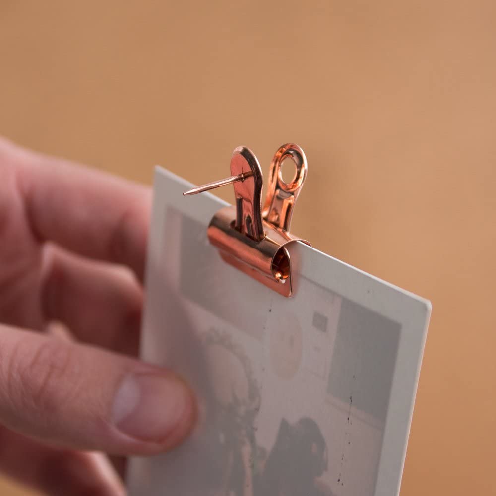 View 4