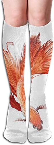 FYW Betta Fish Siamese Fighting Fish Betta Splendens Top View Isolated On White Background Mens &amp; Womens Knee High Socks For Nursing Travel &amp; Pregnancy