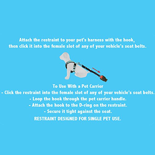 Pawtitas Pet Adjustable Safety Dog Seat Belt and Restraining Strap for Pet Carrier Teal