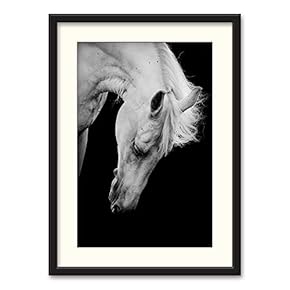 Black Paper Framed Canvas Wall Art for Living Room, Bedroom Horse Theme Canvas Prints for Home Decoration Ready to Hanging - 23x31 inches