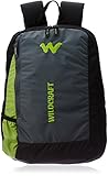 Wildcraft Streak Nylon 20 Ltrs Green Softside Laptop Bag (8903338009542)