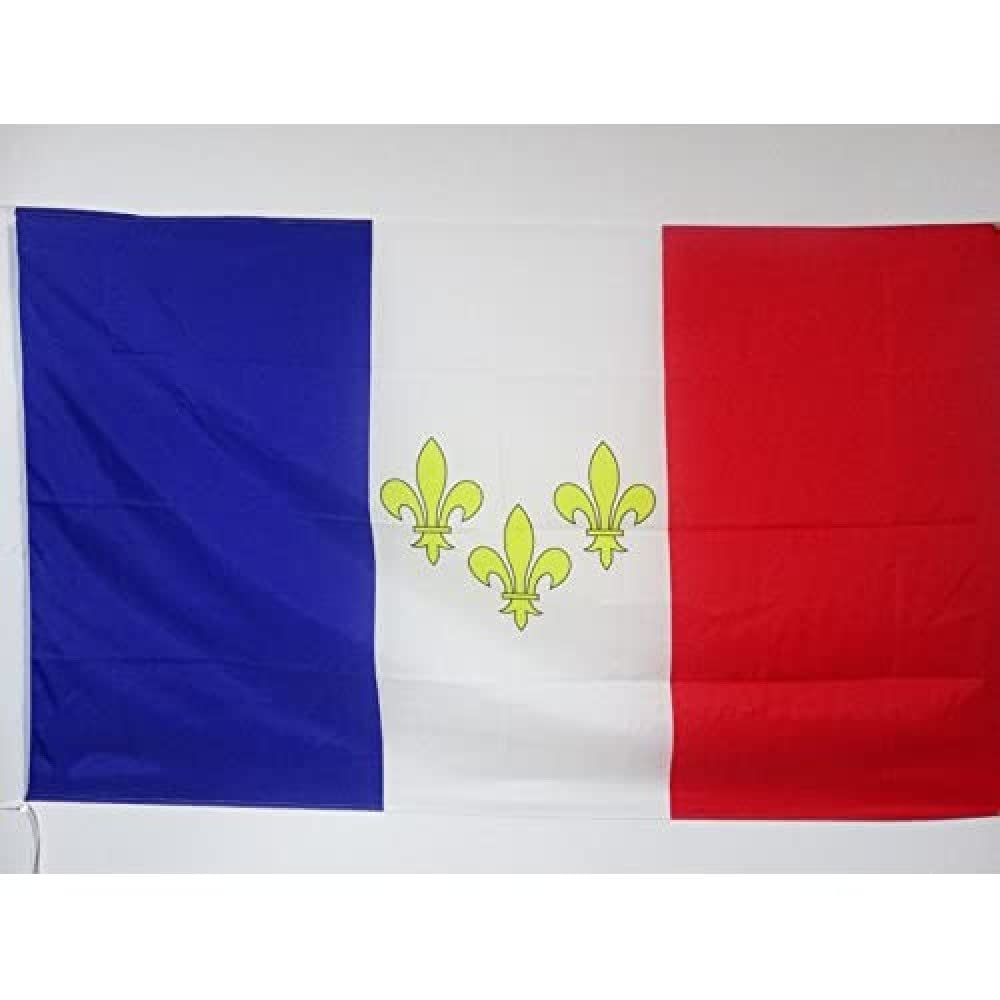 AZ FLAG - French Monarchy Flag - 2x3 Ft - Kingdom of France Banner with Sleeve - 100% Polyester - Fade Resistant - Vivid Colors - 2' x 3' Feet - 90x60 Cm