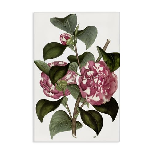 Stupell Industries Wild Carnation Flowers Canvas Wall Art Design by Annabelle H…