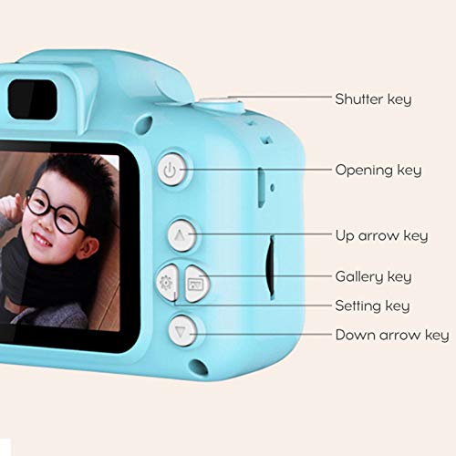 3 Festnight+Childrens+Student+Digital+Birthday