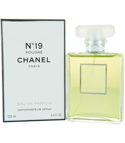 Amazon.com : No. 19 by Chanel for Women, Eau De Parfum Spray, 3.4