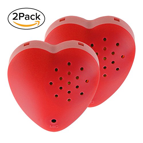 1 Inventiv+Recorder+Stuffed+Recordable+Messages