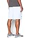 Under Armour Men's Raid 10