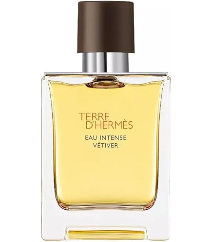 Amazon.com : Terre D' Hermes Eau De Toilette Spray for Men by