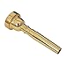 CO-RODE Gold Plated Metal Trumpet Mouthpiece,7C Golden (Musical Instruments Accessories)