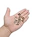 30 Pcs Shelf Support Pegs 6mm L-Shaped Shelf Support Nickel Plated Shelf Bracket Pegs for Furniture & Bookcase Shelf Cabinet Closet Shelf Support with Hole.