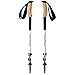 Black Diamond Alpine Carbon Trekking Poles