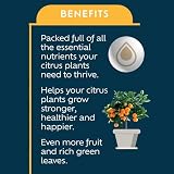Westland Citrus Feed Concentrate 200ml for Citrus Plants view 2