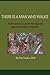 There Is A Man Who Walks: A Personal Account of Montagnard Guerrilla Warfare in Vietnam by 