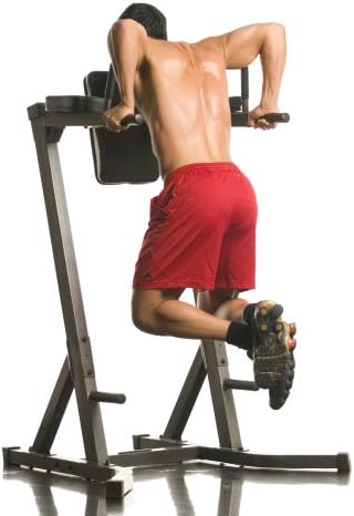 Amazon Com Body Max Dlr670 Dip Leg Raise Dip Stands Sports Outdoors