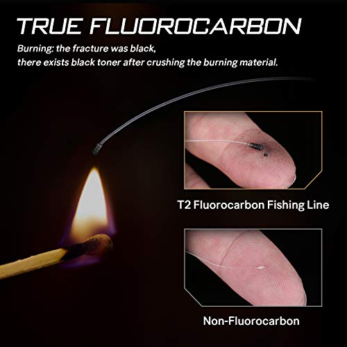 Seaknight T2 Fluorocarbone Peche Carpe Ligne De Guidage Invisible De Fluo Fil De Pêche 100m/110yds