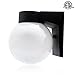 BWL Wall Mount Globe Outdoor Fixture,9 Watt(60W Equivalent Incandescent), 5000K Daylight White, Acrylic Globe, ETL Listed, Energy Star