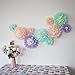 Mybbshower Pastel Tissue Paper Flower Baby Shower Centerpiece Living Room Wall Decor Pack of 10