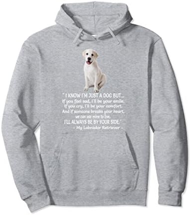 Unisex Labrador Retriever Hodie Puppy Shirt XL: Heather Grey