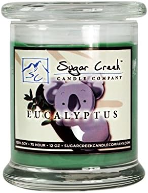 Eucalyptus Natural Stress Relief Scented Soy Wax 12oz Candle. Aromatherapy Soy Candles Burn Cleaner ~ Longer ~ Non-Toxic ~ 100% Yinzer Made in USA. Gift For Special Occasions
