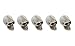 The Fiddlehead Fairy Garden Miniature Skulls Accessory Set (Set of 5) #16497