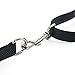 Tuff Mutt Hands-Free Waist Leash for Dog Walking, Running and Hiking, Adjustable Belt with Double Handle, Reflective Bungee Design for Large & Medium Dogs