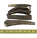 WhiteTail Naturals Premium Whole Elk Antlers for Dogs (1 Pound Pack) Natural Dog Chews | Naturally Shed Antler Horn | 6 to 8 Inch Long | Large and Medium Antler Bone Chew