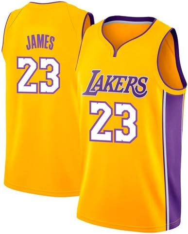 VICTOREM LeBron James #23 Men's Basketball Jersey - NBA Lakers, New Fabric Embroidered Swingman Jersey Shirt (Size: M…