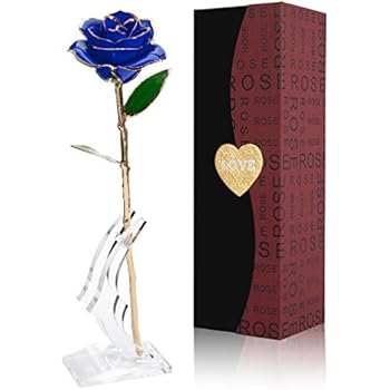 24K Gold Foil Trim Blue Rose Flower Long Stem with Transparent Stand, Anniversary Gifts for Her, Best Gift for Valentines Day, Mothers Day, Wedding, Birthday Gift, Treating Yourself (Blue)
