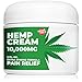 Hemp Cream for Pain Relief with 10,000mg Hemp Oil - For Arthritis, Muscle, Joint, Fibromyalgia and Knee Pain