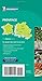 Michelin Green Guide Provence: Travel Guide (Green Guide/Michelin)