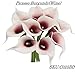 Angel Isabella 10pc Set of Real Touch Calla Lily-Keepsake Artificial Calla Lily with Small Bloom Perfect for Making Bouquet, Boutonniere,Corsage.Quality Keepsake Artificial Flower (Picasso Wine)