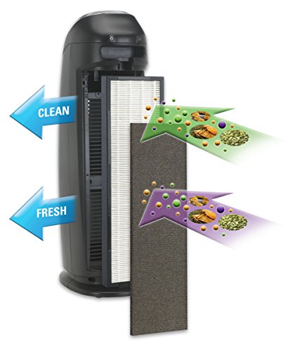 PureGuardian AP2200CA Air Purifier with High Performance Allergen Filter, Captures Allergens, Smoke, Odors, Mold, Dust, Pets, Smokers, Germ Guardian 22" Home Air Purifier