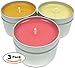 Candlecopia Pumpkin Soufflé, Baked Apple Pie and Seriously Cinnamon Strongly Scented Hand Poured Vegan Travel Tin Candles, 3 x 4 Ounce Tins
