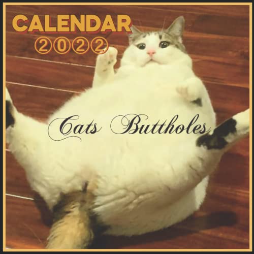 2022 CALENDAR Cats Buttholes GAG GIFT Cats Buttholes Funny Calendar