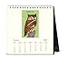 Cavallini Papers & Co 2018 Vintage Owls Desk Calendar