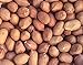 Aiva Raw Spanish Peanuts (5 LB) Bulk – Whole Unsalted Peanuts for Snacking, Cooking, and Baking | Product of USA | Spanish Premium Grade