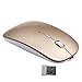 Rechargeable 2.4G Slim Wireless Mouse - Tsmine Optical Mice with USB Nano Receiver(Stored Within the Back of the Mouse) for Notebook, PC, Laptop, Computer, Windows / Android Tablet - Gold