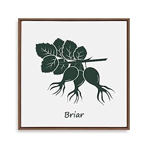 Framed Canvas Wall Art for Living Room, Bedroom Nordic Style Plants Theme Canvas Prints for Home Decoration Ready to Hang - 16x16 inches