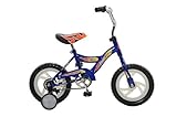 Fun Wheels 12
