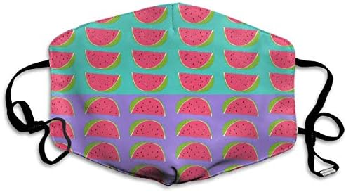 Watermelons Fruit Pattern Mask - Filters Dust, Pollen,Allergens, Cold & Flu Germs - Allergy Mask - Ideal for Airplane Travel, Antimicrobial£¬