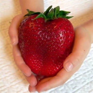 100Pcs Giant Red Strawberry Seeds Heirloom Super Japan Strawberry Garden Seeds by Aroundstore