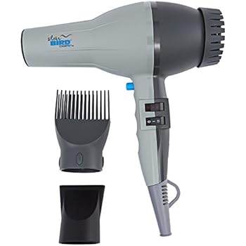 Amazon Com Conair Pro Silver Bird Hair Dryer Sb307w Health
