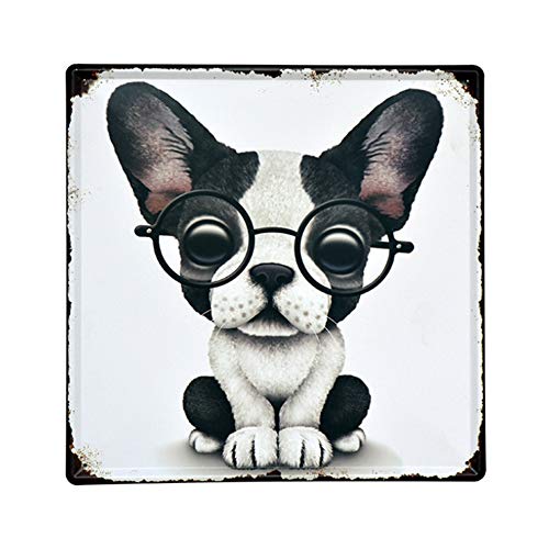 Retro Tin Sign Beer Creative Metal Cute Little Animals Wall Decor Art Plaque Souvenir Home Bar Cafe Bar 12 X 12 Inches (Glasses Dog)