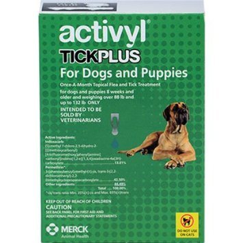 activyl for large dogs