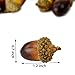 R.FLOWER 50pcs Artificial Lifelike Simulation Small Acorn Set Decoration Fake Fruit Home House Kitchen Décor