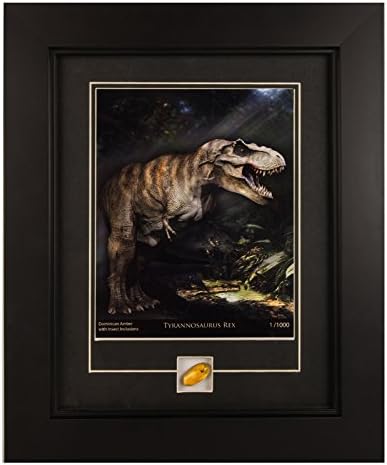CENTURY CONCEPT Tyrannosaurus Rex Historic Framed Print and Relic Wall Decor for Collectors | Includes a Piece of Cenozoic-Era Ember Specimen and Certificate of Authenticity