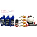 YAMAHA 2005-2015 VX110 VX Deluxe Cruiser Sport 110 V1 Oil Change Maintenance Kit w/NGK Spark Plugs & 6L Oil Fluid Extractor Pump LUB-WTRCG-KT-00